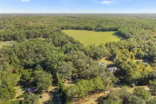 3333 NW 133rd St, Gainesville, FL 32606 - Photo 39