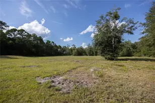 7102 NE 100th Ave, Gainesville, FL 32609 - Photo 35