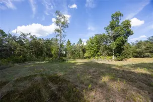 7102 NE 100th Ave, Gainesville, FL 32609 - Photo 37