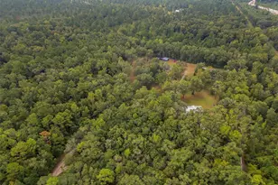 91 Culbreath Ln, Crawfordville, FL 32327 - Photo 3