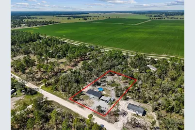 13411 SE 21st Place, Morriston, FL 32668 - Photo 3