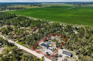 13411 SE 21st Pl, Morriston, FL 32668 - Photo 3