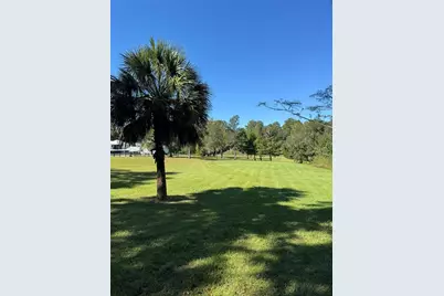 Tbd NE 185 Avenue, Williston, FL 32696 - Photo 9