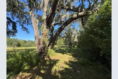 Tbd NE 185 Avenue, Williston, FL 32696 - Photo 13