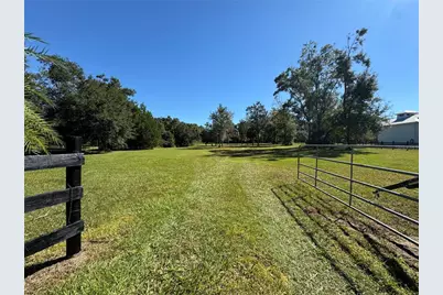 Tbd NE 185 Avenue, Williston, FL 32696 - Photo 19