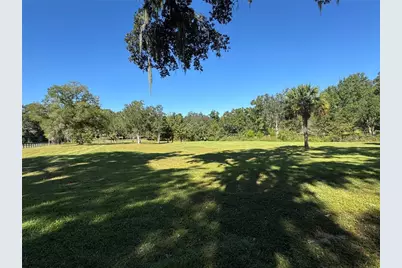 Tbd NE 185 Avenue, Williston, FL 32696 - Photo 11