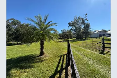 Tbd NE 185 Avenue, Williston, FL 32696 - Photo 21