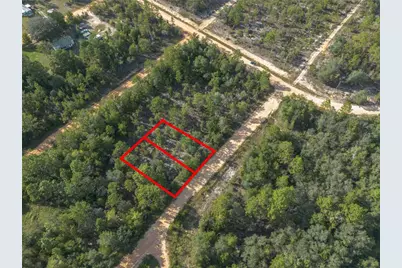 Tbd Grey Street E, Interlachen, FL 32148 - Photo 1