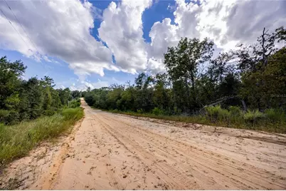 Tbd Grey Street E, Interlachen, FL 32148 - Photo 19