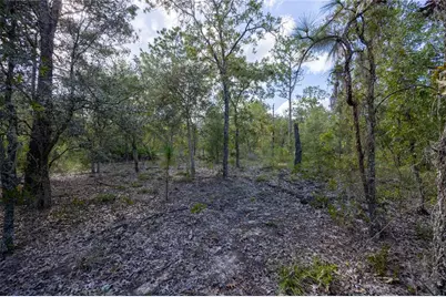 Tbd Grey Street E, Interlachen, FL 32148 - Photo 11