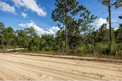 Tbd Grey Street E, Interlachen, FL 32148 - Photo 15