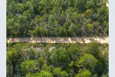 Tbd Grey Street E, Interlachen, FL 32148 - Photo 9