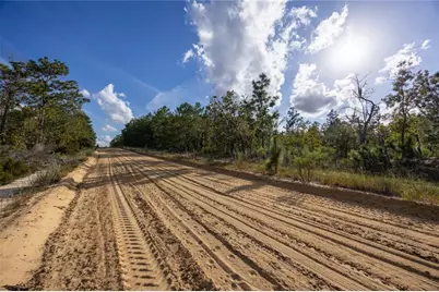 Tbd Grey Street E, Interlachen, FL 32148 - Photo 17