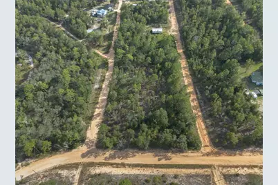 Tbd Grey Street E, Interlachen, FL 32148 - Photo 5