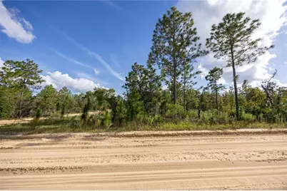 Tbd Grey Street E, Interlachen, FL 32148 - Photo 13