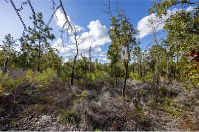 Tbd Grey Street E, Interlachen, FL 32148 - Photo 7