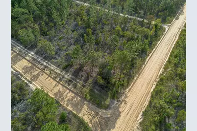 359 Dothan Street, Interlachen, FL 32148 - Photo 5