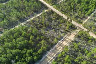 359 Dothan St, Interlachen, FL 32148 - Photo 1