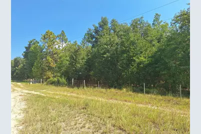 Lot 9 NW 73rd Way, Bell, FL 32619 - Photo 1