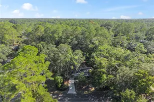 2511 NE 3rd Pl, Gainesville, FL 32641 - Photo 33