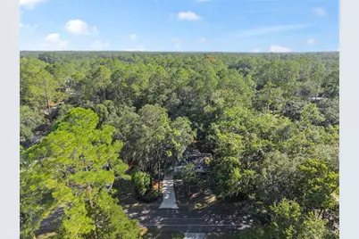 2511 NE 3rd Place, Gainesville, FL 32641 - Photo 29