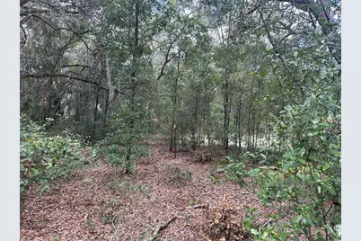 214 Vancouver Circle, Interlachen, FL 32148 - Photo 11