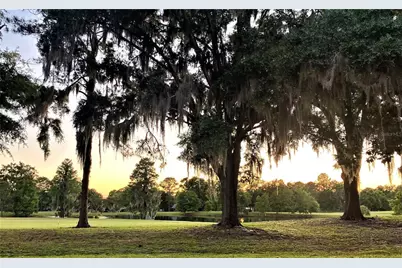 7203 NW 121 Avenue, Alachua, FL 32615 - Photo 37