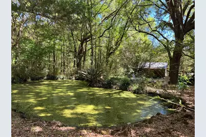 [Address not provided], Williston, FL 32696 - Photo 31