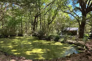 [Address not provided], Williston, FL 32696 - Photo 31