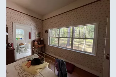 [Address not provided], Williston, FL 32696 - Photo 25