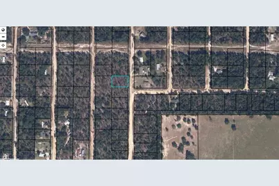 7248 Citadel Street, Keystone Heights, FL 32656 - Photo 3