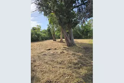 71 SE 893 Avenue, Old Town, FL 32680 - Photo 7