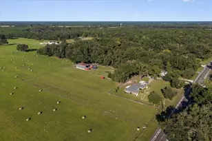 7551 NW 115th St, Chiefland, FL 32626 - Photo 57