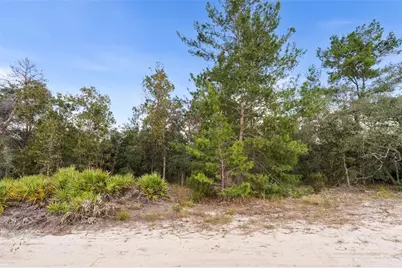 0 NE 75 Street, Bronson, FL 32621 - Photo 3