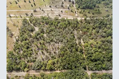 0 NE 75 Street, Bronson, FL 32621 - Photo 9