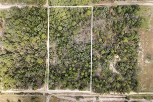 0 NE 75 St, Bronson, FL 32621 - Photo 1