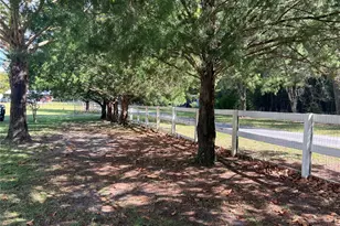 25204 NW 71 Pl, High Springs, FL 32643 - Photo 51