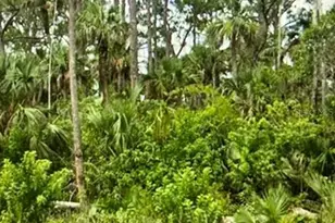 625 Greenbriar Blvd, Lehigh Acres, FL 33972 - Photo 1