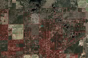 12851 NE 101Ct Ct, Archer, FL 32618 - Photo 11