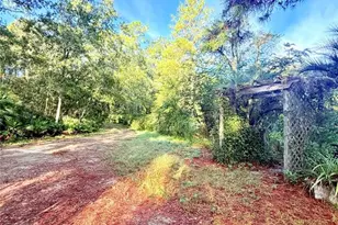 7324 NW 152nd Pl, Alachua, FL 32615 - Photo 9
