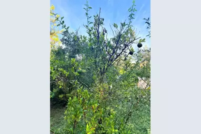 7324 NW 152 Place, Alachua, FL 32615 - Photo 3