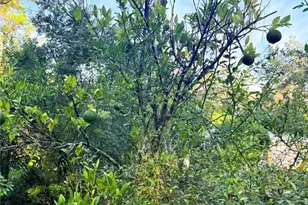 7324 NW 152nd Pl, Alachua, FL 32615 - Photo 3