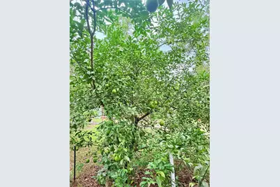 7324 NW 152 Place, Alachua, FL 32615 - Photo 25