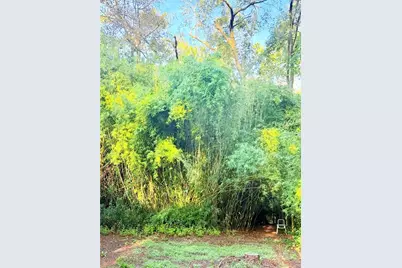 7324 NW 152 Place, Alachua, FL 32615 - Photo 5