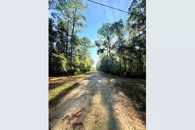 7324 NW 152 Place, Alachua, FL 32615 - Photo 13