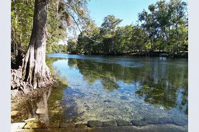 563 SW Longhorn Terrace, Fort White, FL 32038 - Photo 3