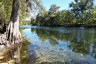 563 SW Longhorn Terrace, Fort White, FL 32038 - Photo 3