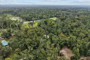 1377 NE 143rd Ave, Old Town, FL 32680 - Photo 29