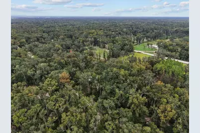 1377 NE 143rd Avenue, Old Town, FL 32680 - Photo 35