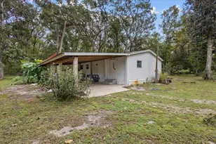 1377 NE 143rd Ave, Old Town, FL 32680 - Photo 21